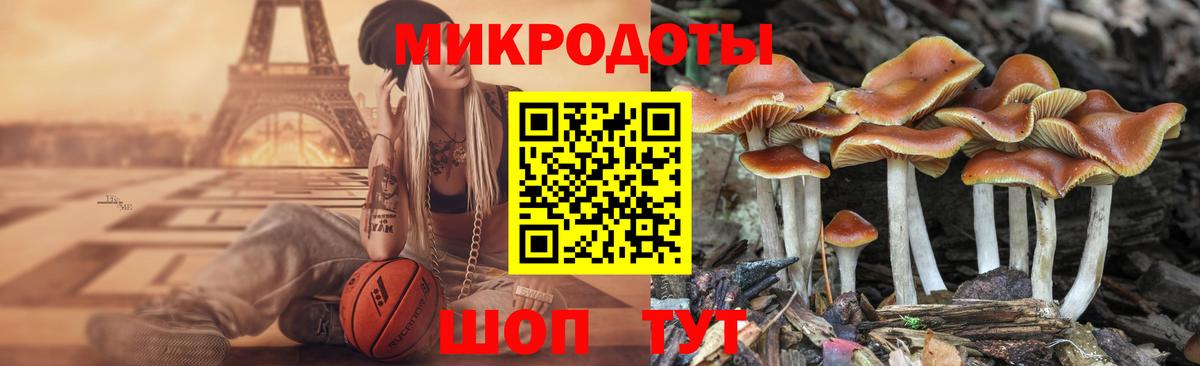 Псилоцибиновые грибы Cubensis Нижний Тагил