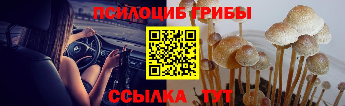 Псилоцибиновые грибы ЛСД  Вход с VPN  Галлюциногенные грибы ЛСД  Нижний Тагил 